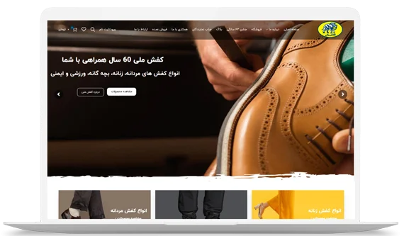 طراحی سایت حرفه‌ای برای کسب و کار